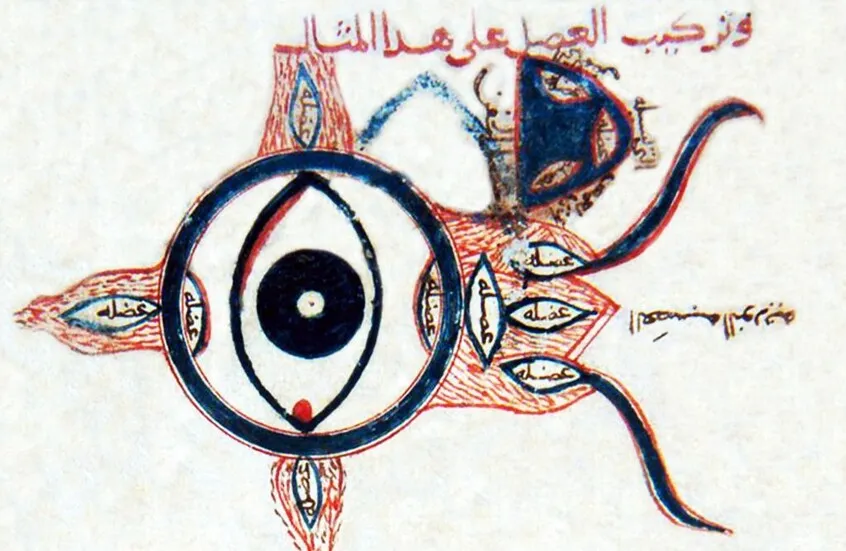 طبيب عربي من العصور الوسطى صحح تشريح العين وغير مسار الطب في أوروبا